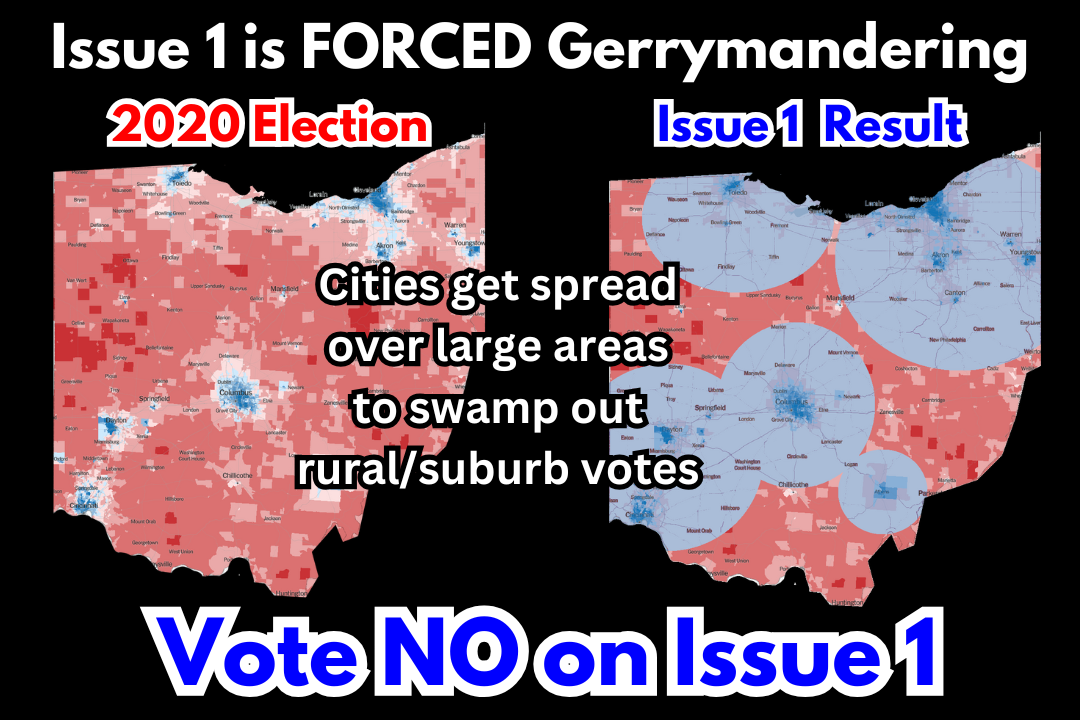 Issue 1 is FORCED Gerrymandering black